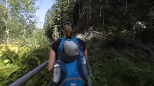 Chica Excursionista Camina Cruzando Puente Madera Camino Bosque Alpino Mochilero — Vídeos de Stock
