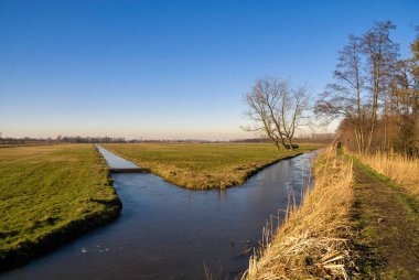 Lexmond yakınlarındaki Y şeklinde bir hendek boyunca patika.