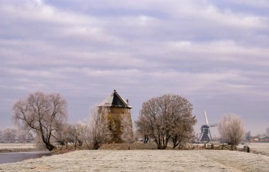 Bleskensgraaf yakınlarında ağaçlarla çevrili bir yel değirmeninin kalıntıları.