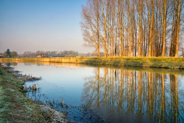 Row Trees Reflecting River Berkel Close Dutch City Lochem Province — Stock Photo, Image