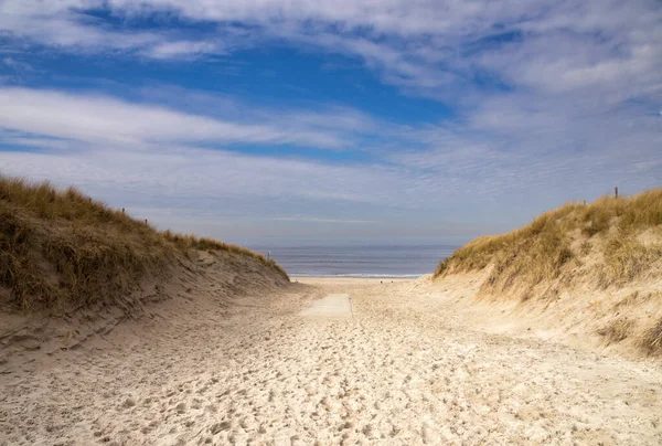 Θίνες Στην Ακτή Της Βόρειας Θάλασσας Κοντά Στο Ολλανδικό Χωριό — Φωτογραφία Αρχείου
