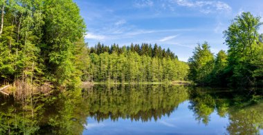 Rhineland-Palatinate 'deki Alman köyü Fischbach bei Dahn yakınlarındaki Casuslar Vadisi' ndeki bir göldeki ağaçların güzel yansıması.