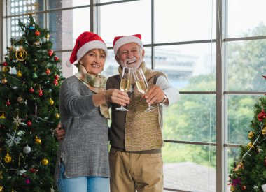 Kış aylarında pencereli, rahat oturma odasında süslü Noel ağacının yanında sarılan, el ele tutuşan ve tezahürat yapan gülümseyen yaşlı çiftin portresi. Mutlu Noeller..
