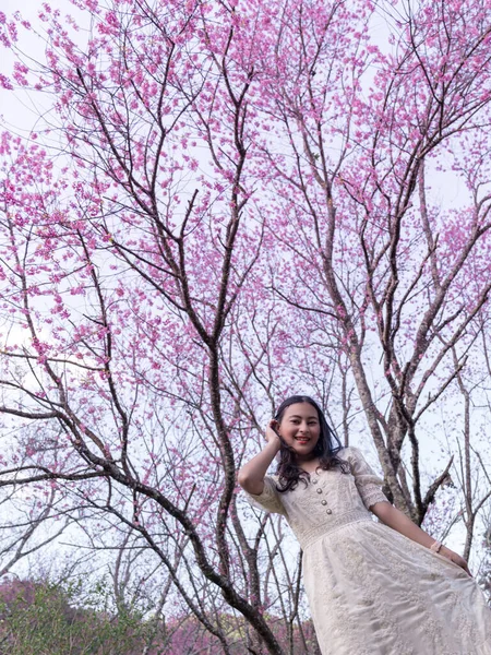 Happy Asian Woman White Dress Wild Himalayan Cherry Pink Sakura — Stok fotoğraf