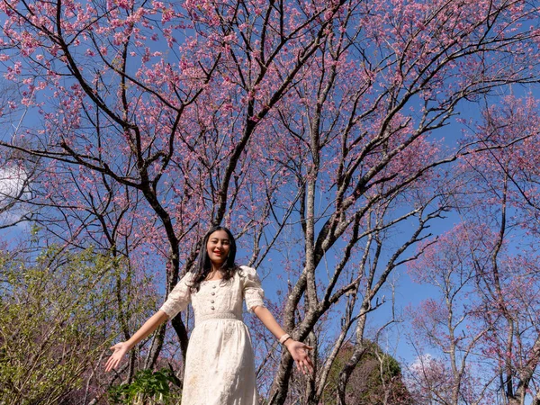 Cheerful Asian Woman White Dress Wild Himalayan Cherry Pink Sakura — Photo