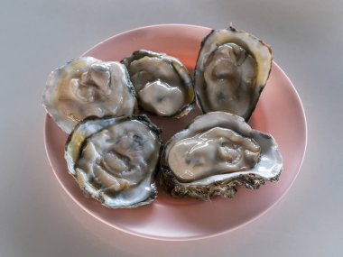 Beyaz masada büyük taze istiridye tabağı. sağlıklı deniz ürünleri. Yerel bir restoranda çiğ istiridye. gurme yemekleri..