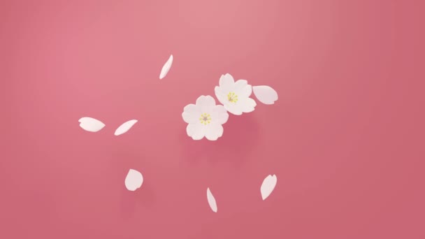 Cherry Blossoms Structure Dancing Petals — Stockvideo