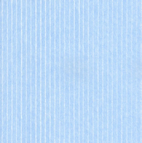 Transparent Japanese Paper Material Stripe Pattern — Fotografia de Stock