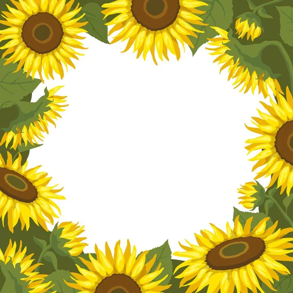 Vector Background Sunflowers Sunflowers Frame Illustration — Vetor de Stock
