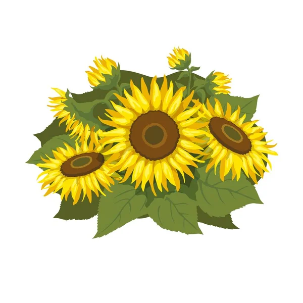 Vector Illustration Sunflowers Bouquet Sunflowers Floral Arrangement Sunflowers 벡터 그래픽
