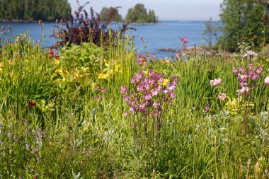 Göl kenarındaki pitoresk bir bahçede güzel çiçek yatakları..