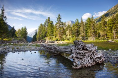 Dağ gölü manzarası ve kıyılarda bir bozulma, Rusya, Altai.