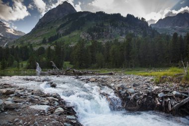 Fırtınalı bir dağ nehri ve şelalesi olan manzara, Rusya, Altai.