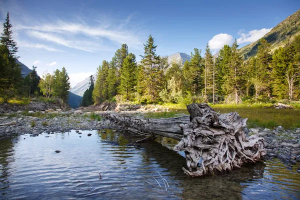 Paisagem Com Lago Montanha Uma Eversão Costa Rússia Altai — Fotografia de Stock