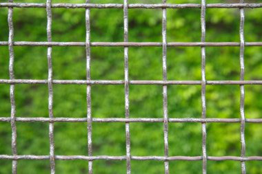 Dışarıdaki yeşilliğin arka planında çit örgüsü.