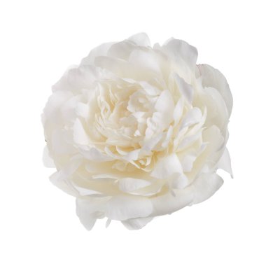 Beyaz arka planda izole beyaz şakayık çiçeği.