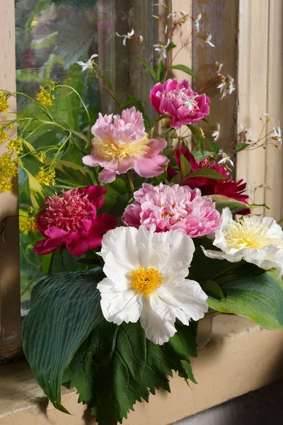 Bouquet Pivoines Multicolores Sur Une Fenêtre Rustique — Photo