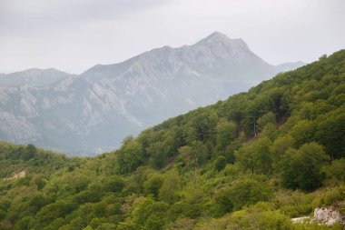 bulutlu bir günde dağ yaz manzarası.