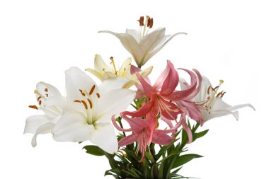 Lily buketi beyaz arka planda izole edilmiş.