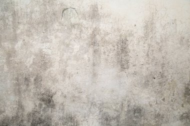 Kalıplı bej alçılı yüzey, yakın plan..