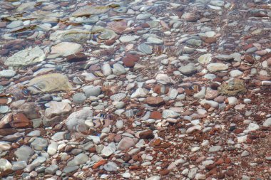 Doğal duvar kâğıdı. Altında çok renkli çakıl taşları var. Temiz suyun altında..