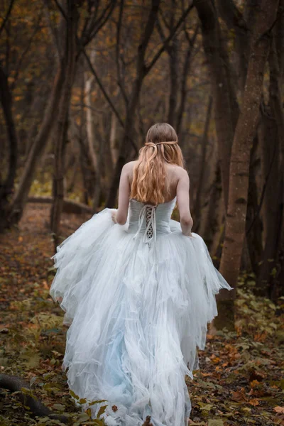 Uzun Beyaz Elbiseli Bir Gelin Sonbahar Ormanında Yürüyor Arkadan Manzaralı — Stok fotoğraf