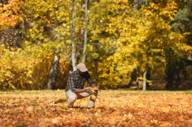 Yakışıklı bir zenci, sonbahar parkında altın yeşilliklerle yürüyor..