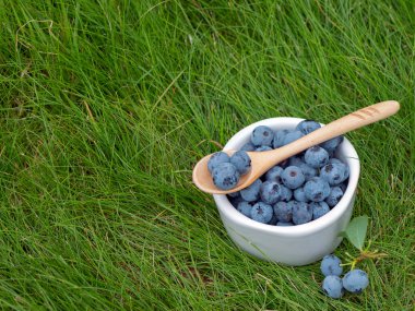 Ripe blueberries in ceramic bowl with wooden spoon on the grass in the garden. Concept of healthy snack and diet clipart