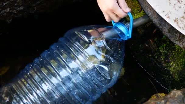 Unge Mennesker Fyller Flaske Med Kaldt Vann Fra Vannkilden Skogen – stockvideo