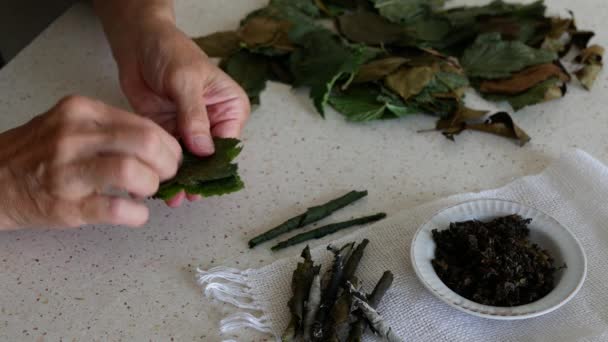 用含有维生素 抗氧化剂 精油和酶的干香草制作草药茶的过程 女人在翻滚着醋栗和樱桃叶 准备用来做草药饮料 用花园做的茶 — 图库视频影像