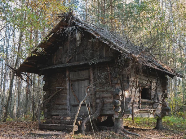 Wooden Fabulous House Moose Skull Entrance Little Cottage Darkest Depths — Stock Photo, Image