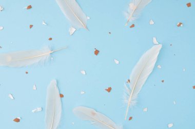 Yumurta kabukları ve tavuk tüyüyle yapılmış arka plan dokusu açık mavi arkaplana karşı. Asgari Paskalya estetiği.