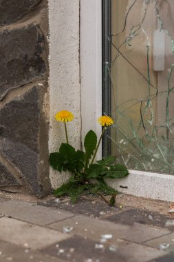 Terör saldırısı. Ukrayna, Rusya savaşı. Irpen. Rus istilacılardan sonra Irpin. - 05.16.2022 IRPIN. UKRAİNA