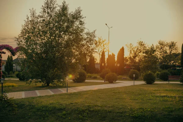 Parkın güzel manzarası. Ukrayna