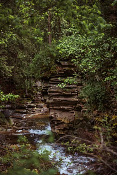Szybka Górska Rzeka Płynie Wśród Zielonych Lasów Piękna Natura Karpat — Zdjęcie stockowe