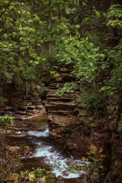 Szybka Górska Rzeka Płynie Wśród Zielonych Lasów Piękna Natura Karpat — Zdjęcie stockowe