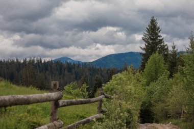 Dağlar manzara, manzara. Baharda Ukrayna 'daki Karpat Dağları. Hoverla