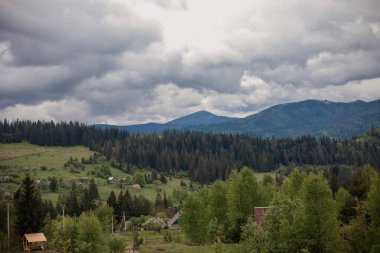 Dağlar manzara, manzara. Baharda Ukrayna 'daki Karpat Dağları. Hoverla