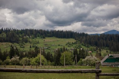 Dağlar manzara, manzara. Baharda Ukrayna 'daki Karpat Dağları. Hoverla