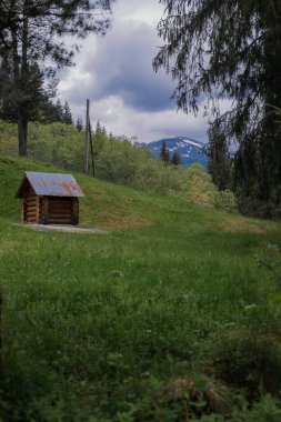Dağlar manzara, manzara. Baharda Ukrayna 'daki Karpat Dağları. Hoverla