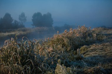 Nehir ve ağaçlarla kaplı sisli bir manzara.