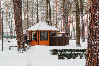 Karla kaplı ağaçlar ve şehir Park banklar.