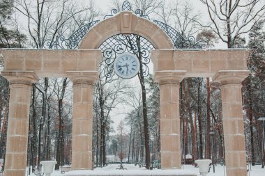Karla kaplı ağaçlar ve şehir Park banklar.