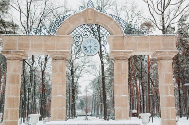 Karla kaplı ağaçlar ve şehir Park banklar.