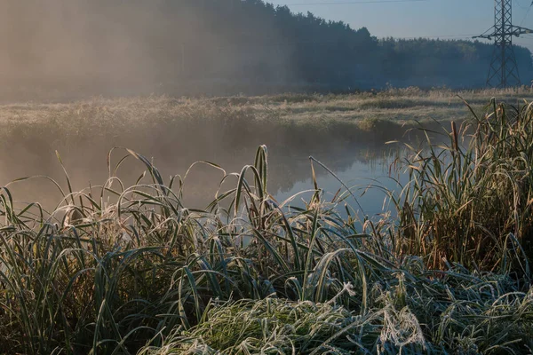 Paysage Brumeux Avec Rivière Arbres — Photo