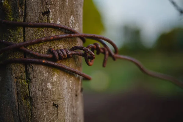 Ostnatým Drátem Při Západu Slunce — Stock fotografie