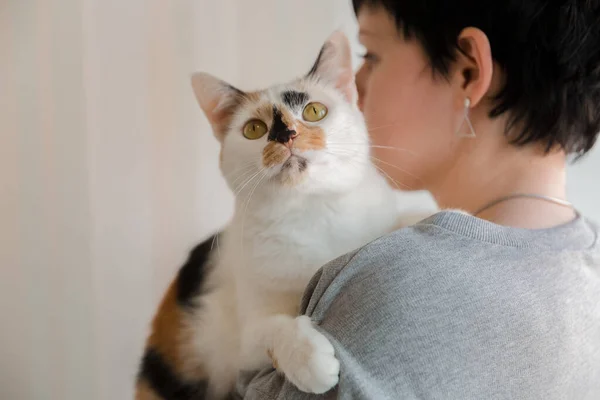 눈으로 귀여운 고양이를 여자의 귀여운 고양이를 껴안고 있습니다 스러운 — 스톡 사진