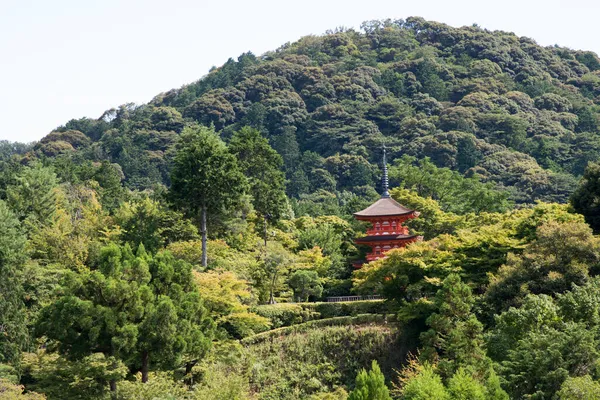 Bellissimo Tempio Rosso Una Foresta Verde Vicino Kyoto Giappone Asia — Foto Stock