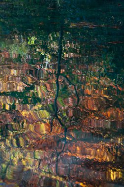 Sonbahar renkleri suya yansıyor. Ağaçların yansıması olan bir göl. Navarra. İspanya, Avrupa