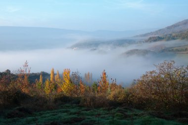 Sonbaharda renkli bir ormanı olan güzel bir manzara. Arka planda sis ve dağlar var. Navarra, İspanya, Avrupa